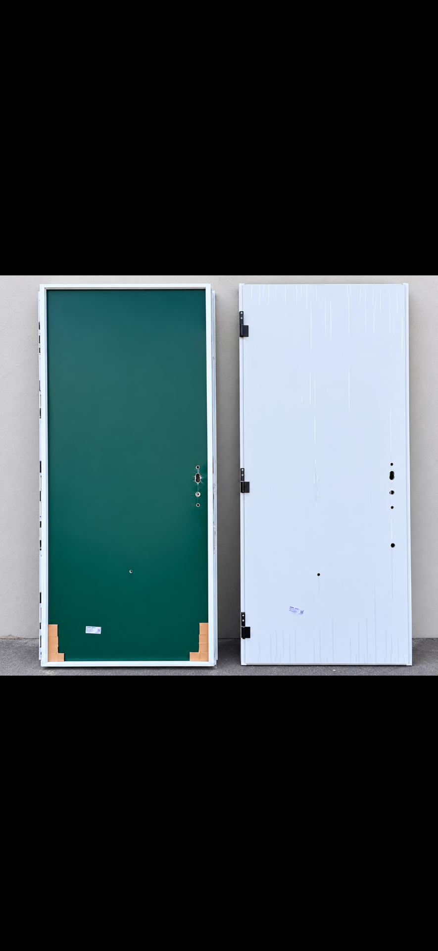 Portes de service métalliques (vert et blanc)